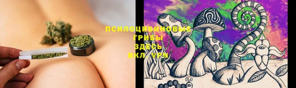 крисы Волоколамск