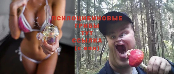 крисы Волоколамск